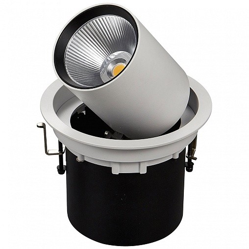 Карданный светильник DesignLed SPL-R1-25-NW